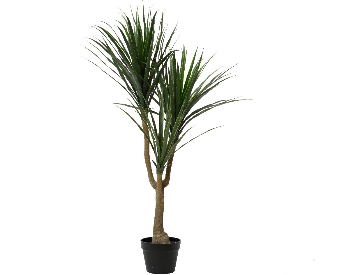 Árbol Dracaena Artificial en Maceta