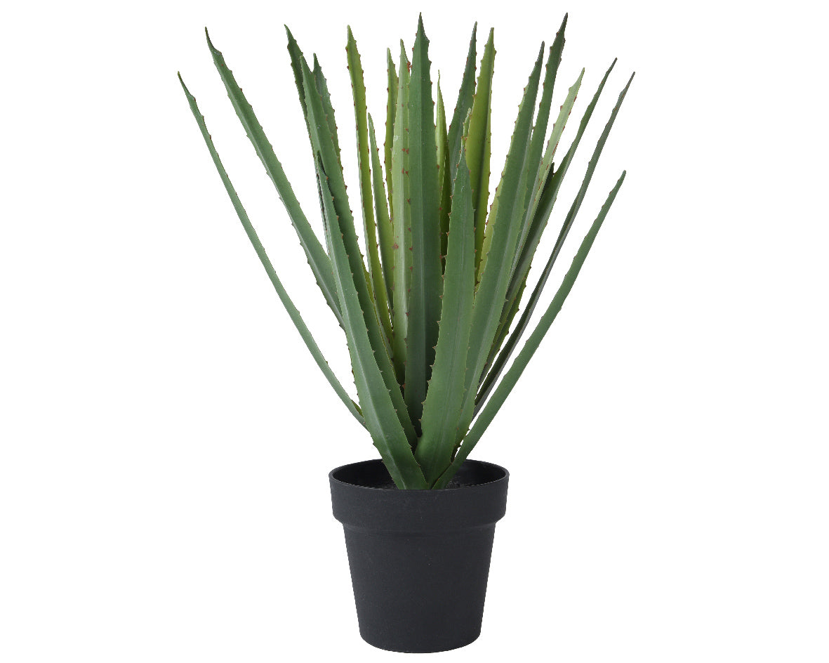 Árbol de Agave Aloe Artificial en Maceta Verde