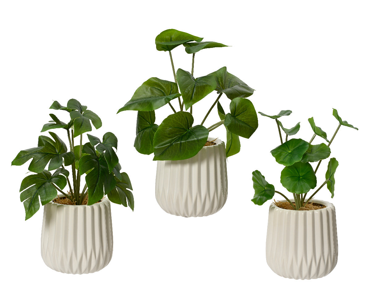 Planta Artificial Scindapsus, Hoja de Loto y Monstera en Maceta Blanca
