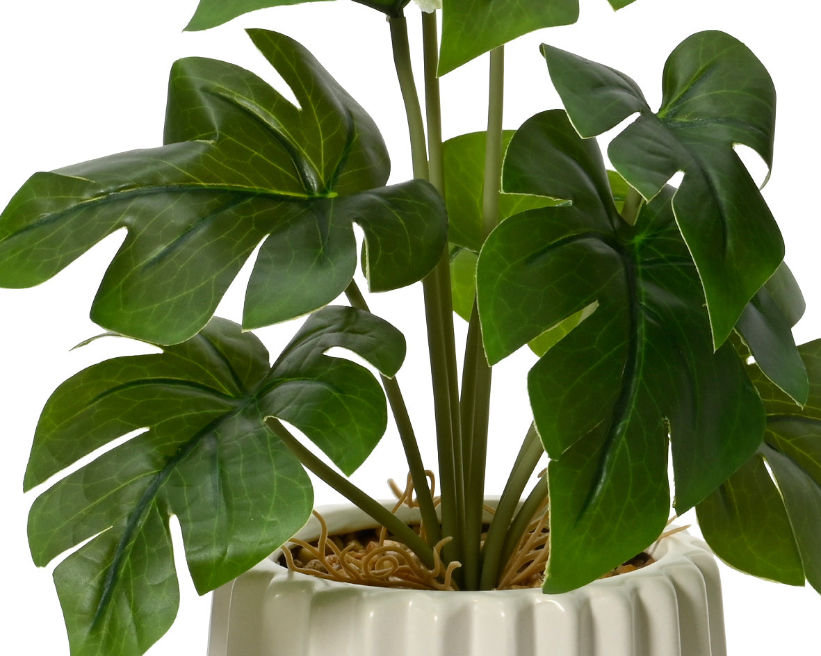 Planta Artificial Scindapsus, Hoja de Loto y Monstera en Maceta Blanca
