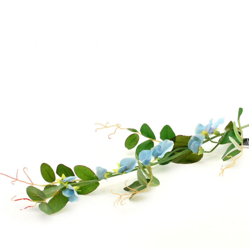 blaue Gartenblume