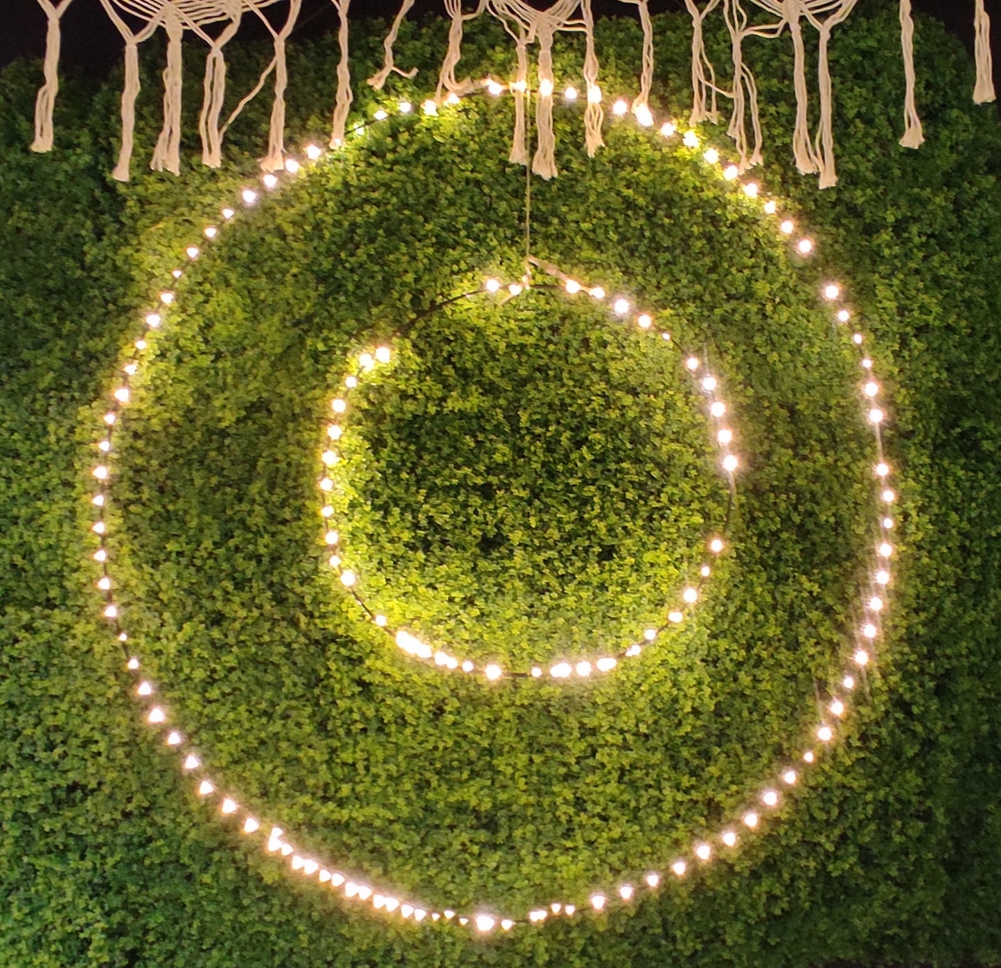 Decorative ring of lights