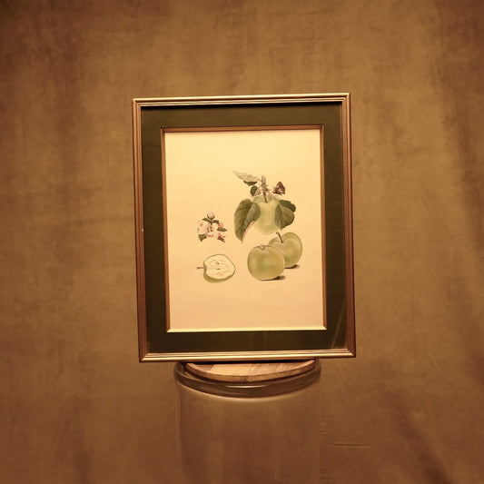 Pintura Botánica en Miniatura - Óleo sobre Papel de Lino