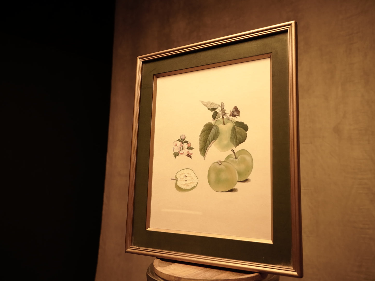 Miniatur-Botanisches Gemälde – Öl auf Leinenpapier