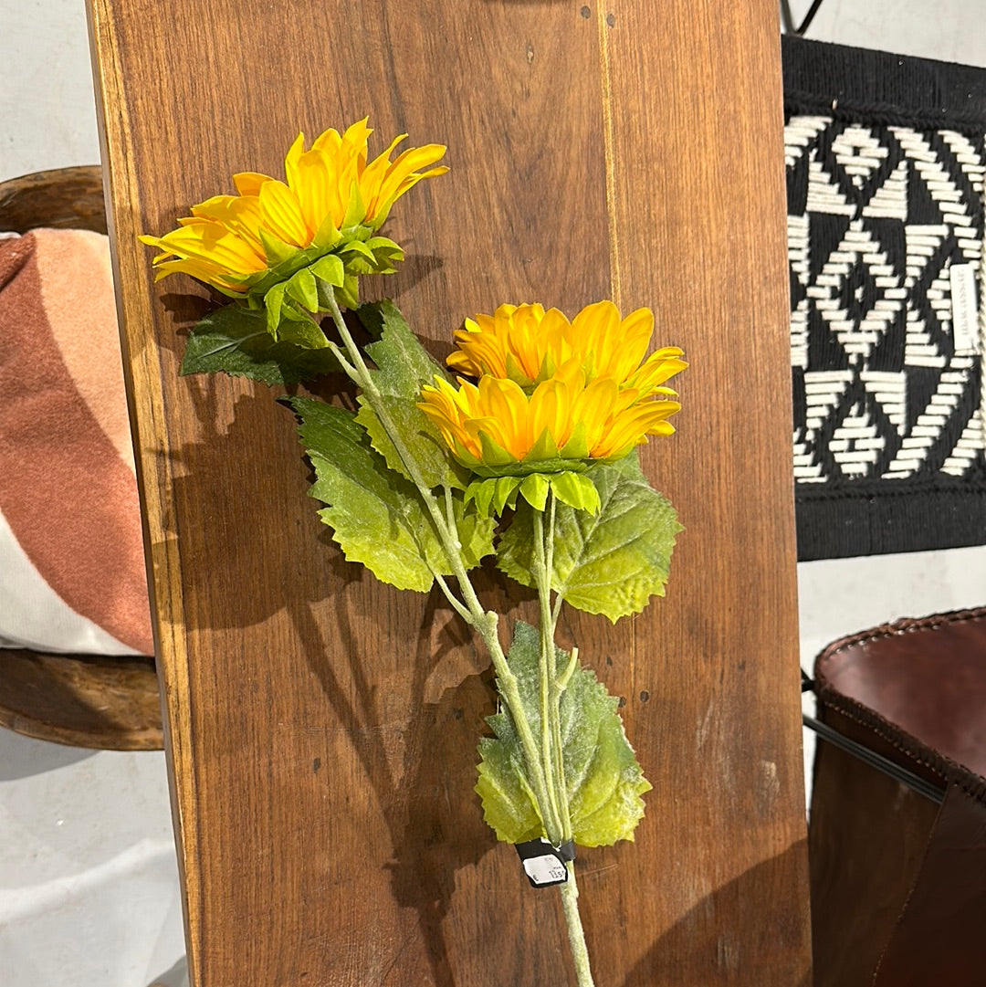 Girasol Trio