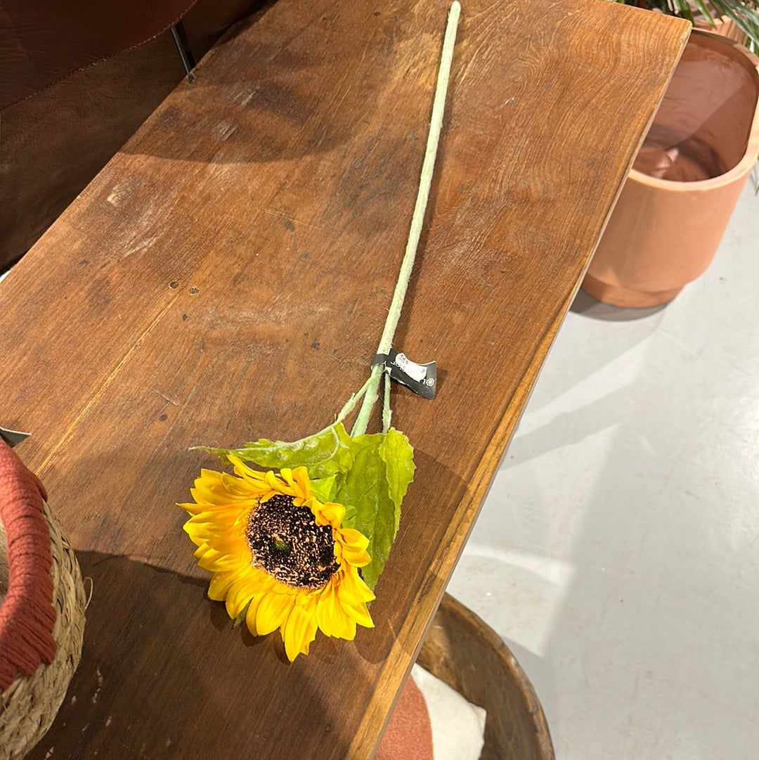 einzelne Sonnenblume