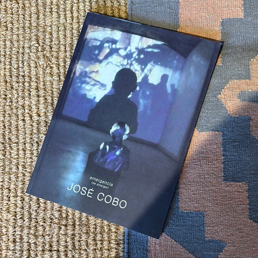 EMERGENCIA (DE EMERGER) JOSÉ COBO (GALERÍA FERRAN CANO)