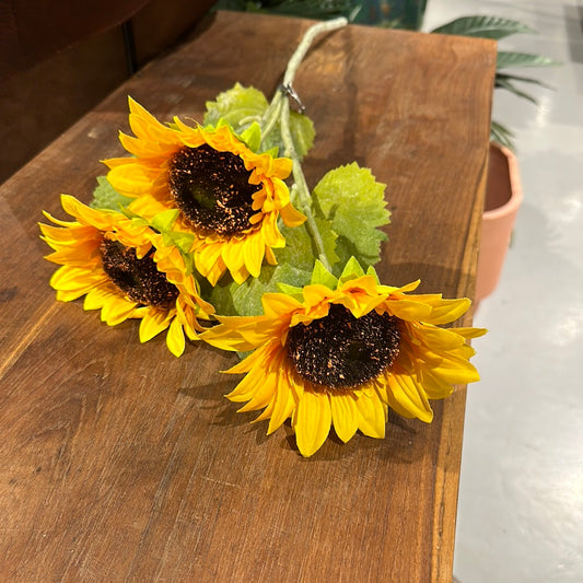 Girasol Trio