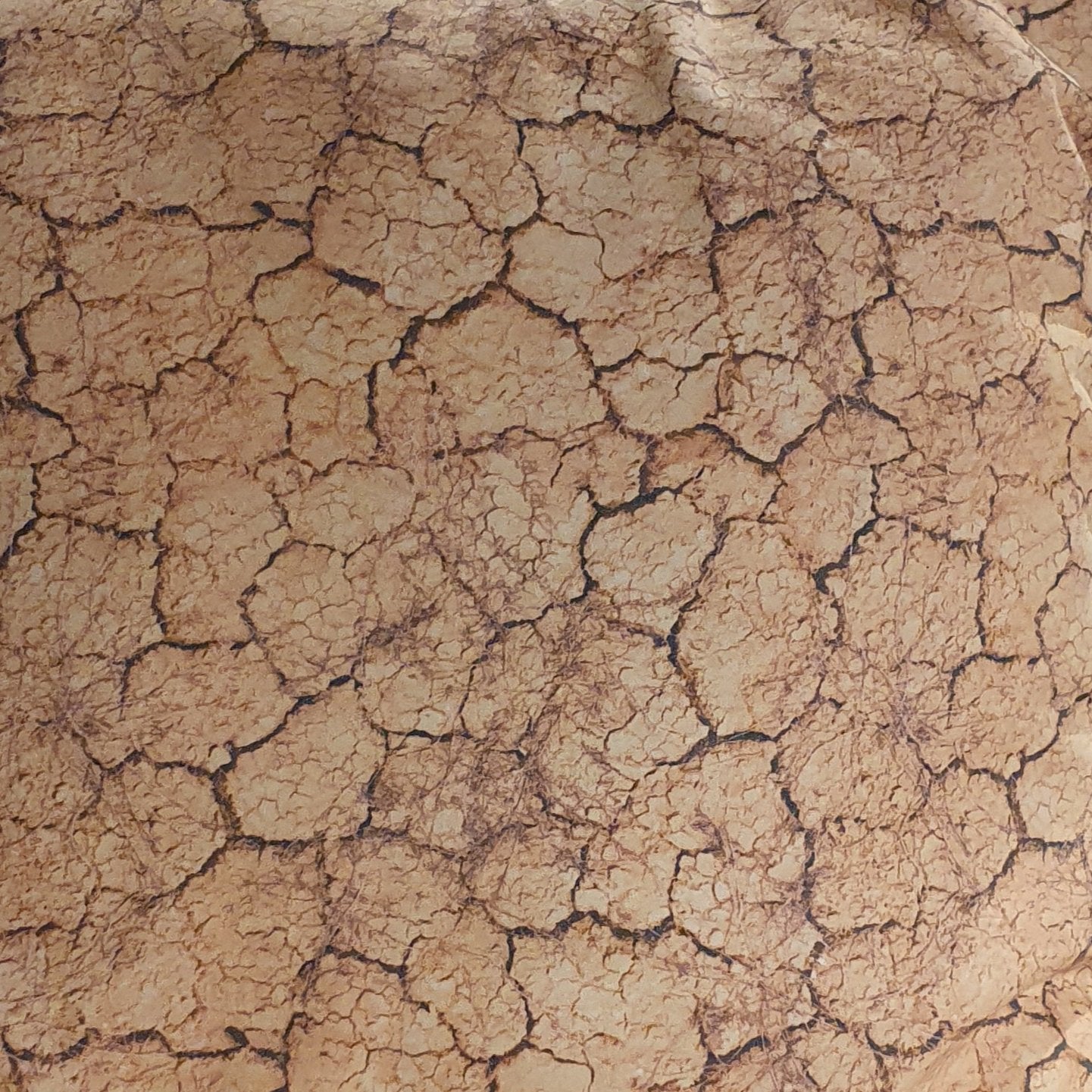 Lanzarote cushion 48x48cm with organic cotton cover