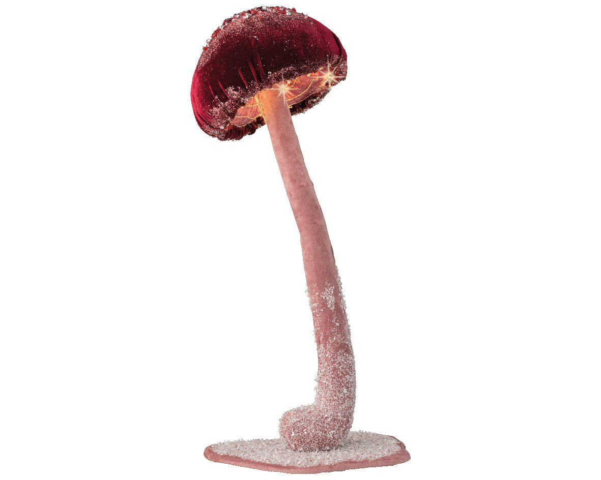 Florales Navideños online canarias