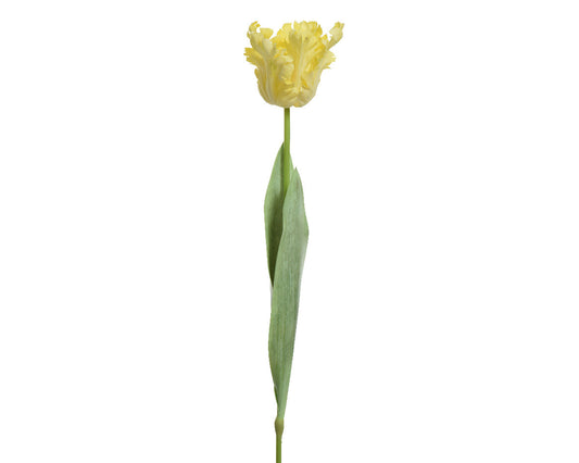 Flores artificiales flora fauna