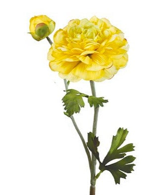 Ranúnculos núm. 30