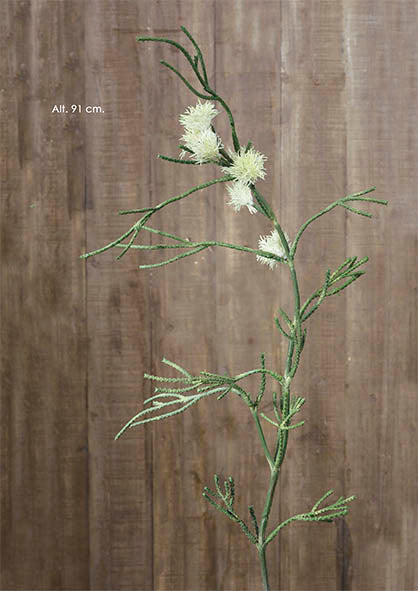 Grevillea-Creme