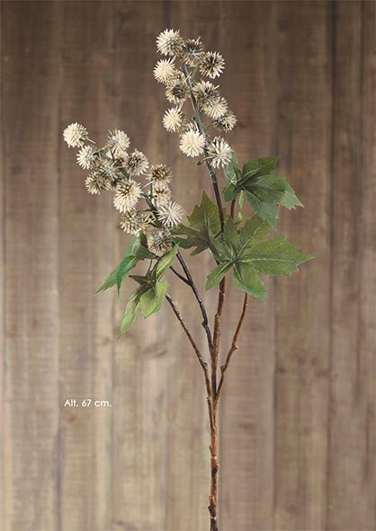 Mini-Echinops-Zweig