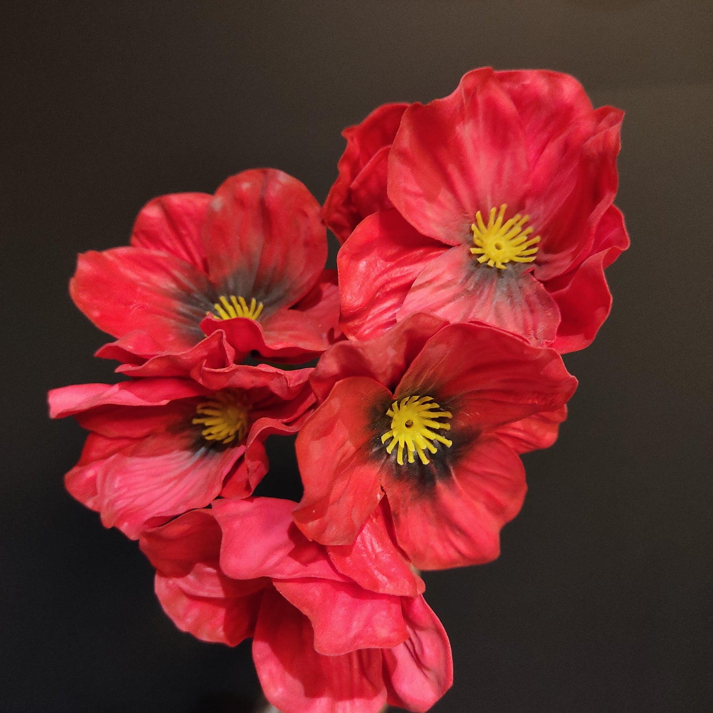 Bündel rote Anemonen