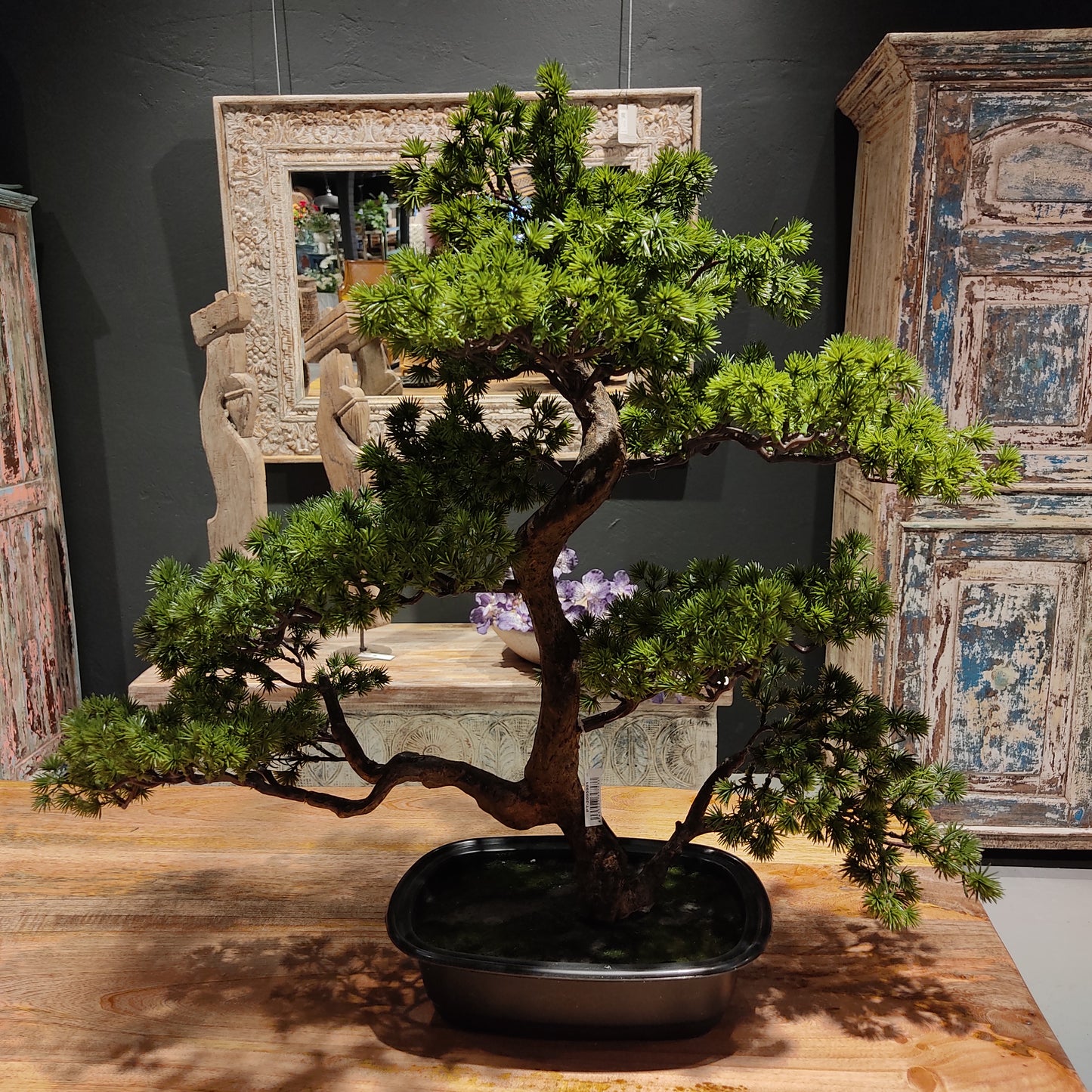 Bonsai
