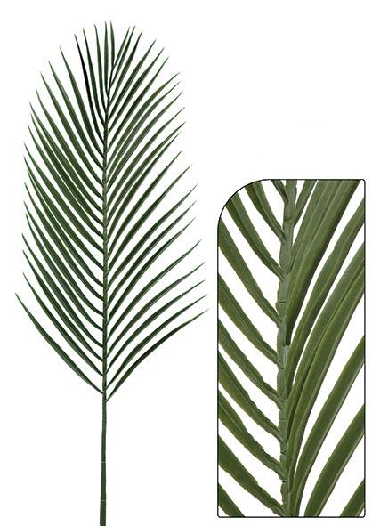 Rama de palmera areca