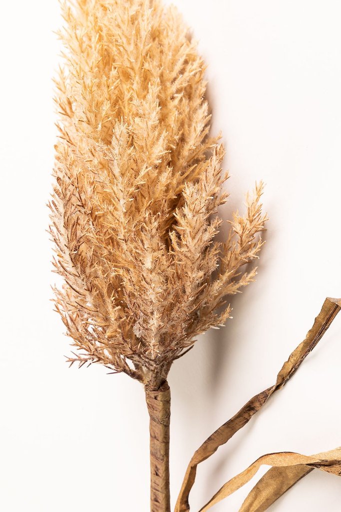Pampas Beige Creme 90cm