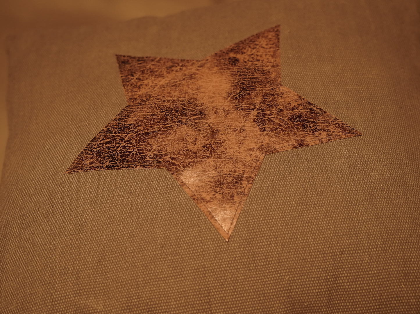 Decorative Cushion for Interiors - Leather Star Design