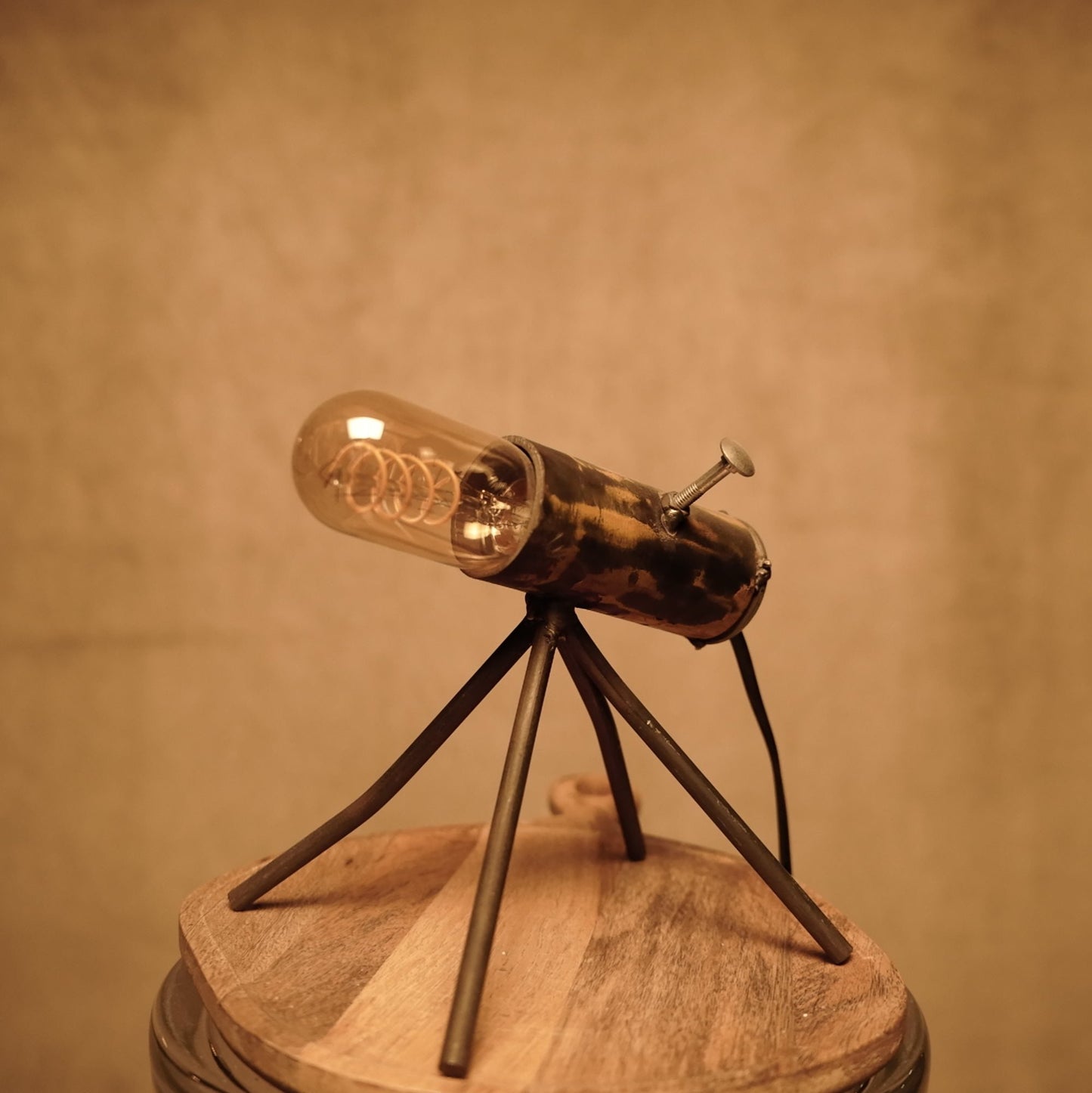 Industrial vintage style wrought iron lamp - Insects Series