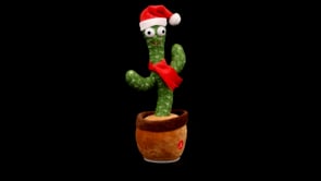 Animated Christmas Cactus