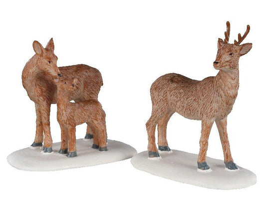 Deer Family, Set Of 2p