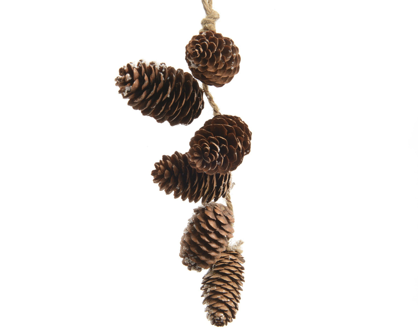 Ornamento Navideño natural piñas de pino L20.00-W7.50-A2.50cm