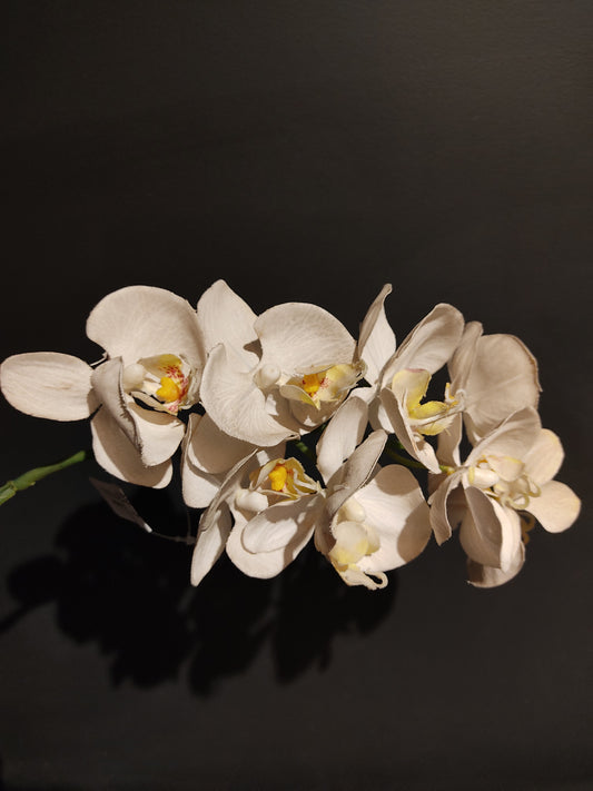 Orchidee Fliese